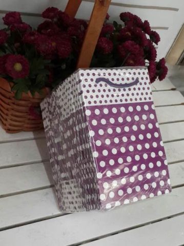 25 Li Mor Puantiyeli Karton Çanta 11x17 Cm