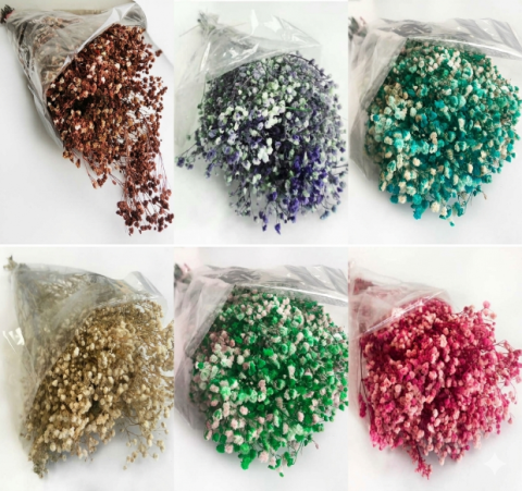 50 GRAM ÇİÇEK DOĞAL CİPSO