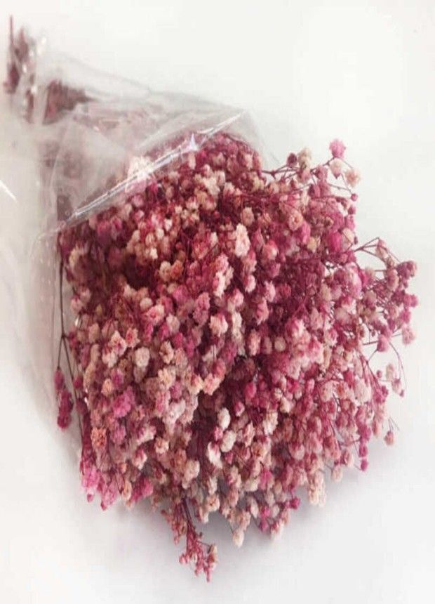 50 GRAM ÇİÇEK DOĞAL CİPSO