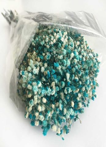 50 GRAM ÇİÇEK DOĞAL CİPSO