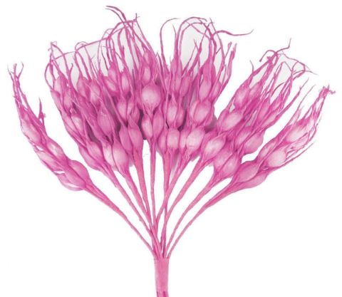 ÇİÇEK BAŞAK MODELİ PEMBE P100-100