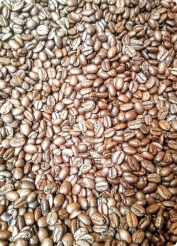 Kahve Çekirdeği 1 Kg