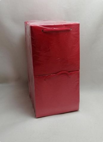 50 Li Kırmızı Kına Hediyelik Karton Çanta 11x11 Cm