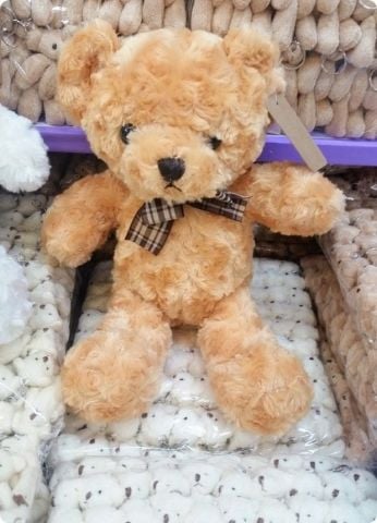 ~35 Cm Boş Süslemesiz Tüylü Peluş Ayıcık