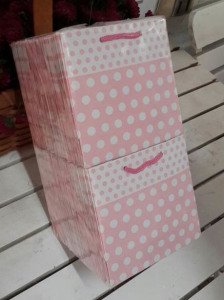50 Li 11x11 Cm (Pembe,Mavi,Kraft) Körüklü Karton Çanta