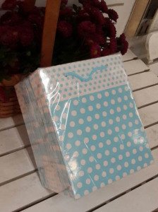 25 Li 14x17 Cm (Beyaz,Mavi ,Kraft,Altın) Körüklü Karton Çanta