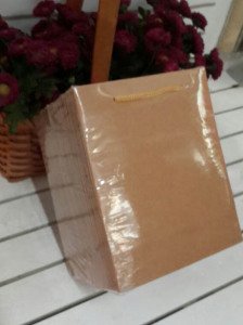 25 Li 14x17 Cm (Beyaz,Mavi ,Kraft,Altın) Körüklü Karton Çanta