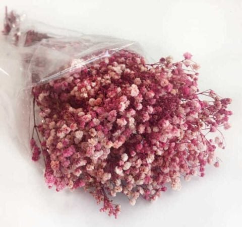 ÇİÇEK DOĞAL CİPSO PK:50 GR PEMBE KL:100