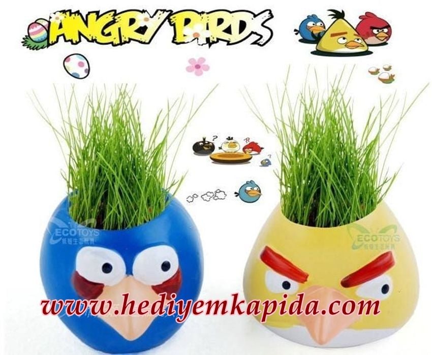 Angry Birds Çim Adam