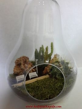 Terrarium Kaya Bahçem