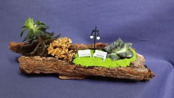 Natürel Terrarium Balıkesir Çiçek