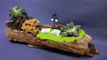 Natürel Terrarium Balıkesir Çiçek