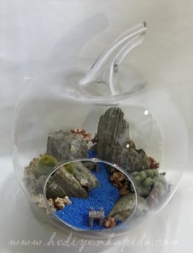 Terrarium Kaya Vadi