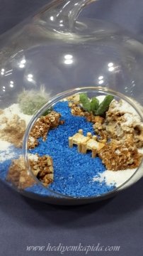 Terrarium Snow  (Balıkesir Terrarium)