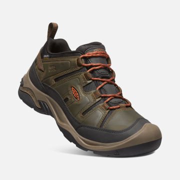 Keen Circadia KeenDryGtx Su Geçirmez Erkek Ayakkabı Black Olive/Potters Clay 1026774