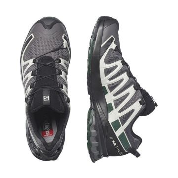 Salomon XA Pro 3D V8 Erkek Patika Outdoor Koşu Ayakkabısı - Magnet/Lunar Rock/Scarab L41736500