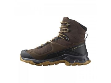 Salomon Quest 4 Gore-Tex Erkek Outdoor Bot Delicioso/Black/Dull Gold L47216100