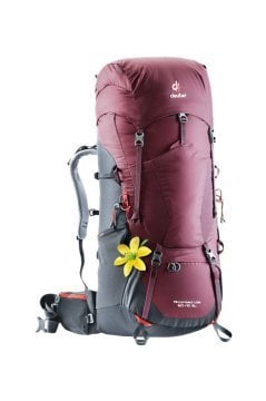 DEUTER Aircontact Lite 60 + 10 SL Sırt Çantası maron-graphite