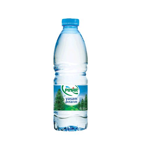 Pınar Su 0.5 Lt