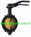 Wafer Kelebek Vana BVN-0203-0303