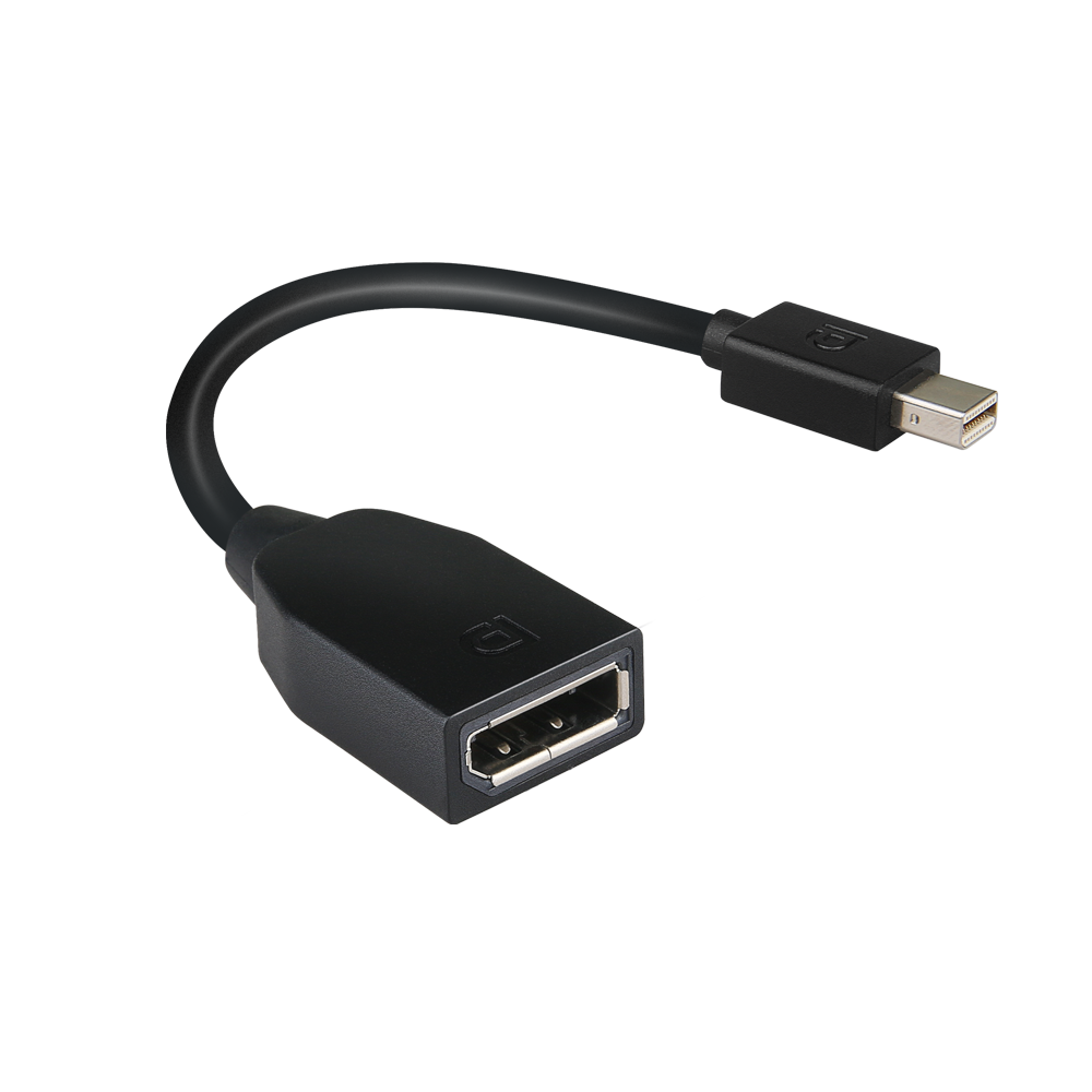 Mini-DisplayPort to DisplayPort Adapter  4X90L13971