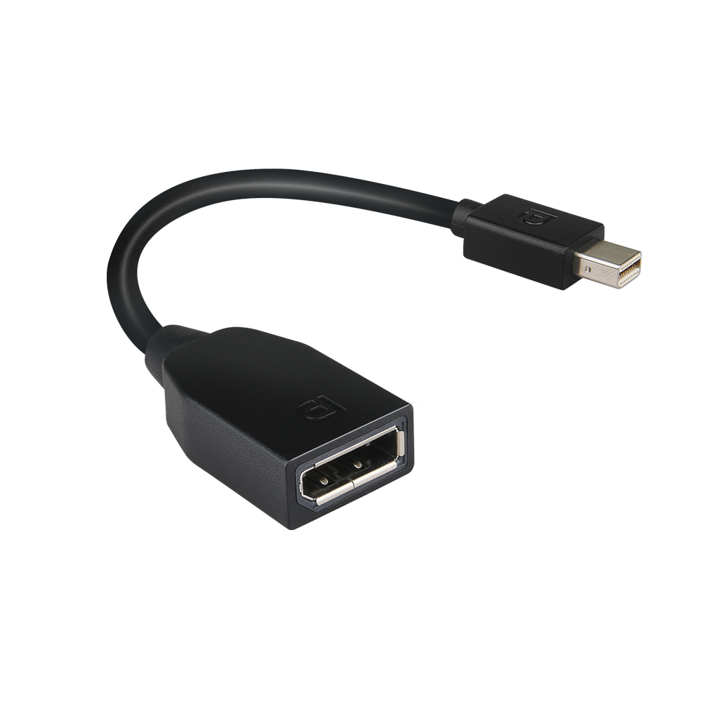 Mini-DisplayPort to DisplayPort Adapter  4X90L13971