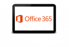 Office 365 Business Yıllık