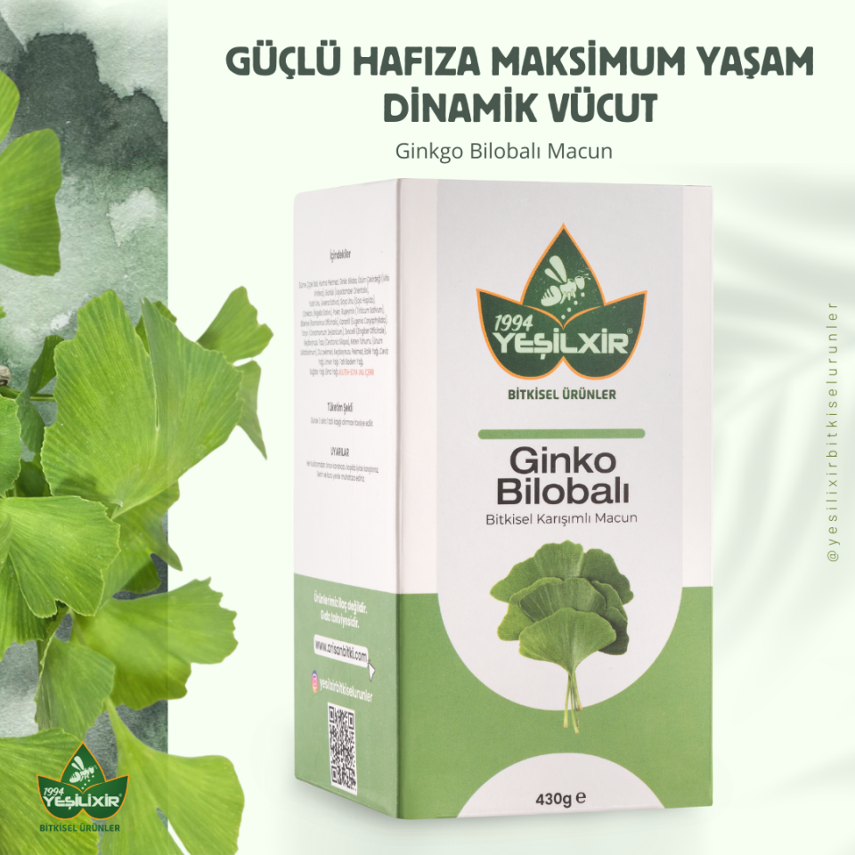 Yeşilixir Gingko Bilobalı Bitkisel Karışımlı Macun 430 Gr