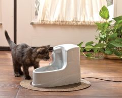 PetSafe Drinkwell Mini Kedi ve Köpek Su Pınarı