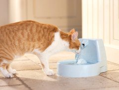 PetSafe Drinkwell Klasik Kedi ve Köpek Su Pınarı