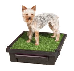 Pet Loo Small Köpek Tuvaleti (53x45cm)