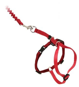 Easy Walk Cat Harness Kedi Gezinti Tasması Kırmızı