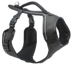 Easy Sport Harness Siyah Köpek Tasması