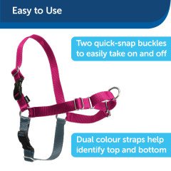 Easy Walk Harness Pembe Köpek Göğüs Tasması