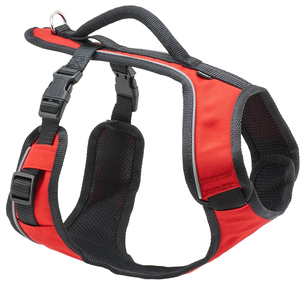 Easy Sport Harness Kırmızı Köpek Tasması