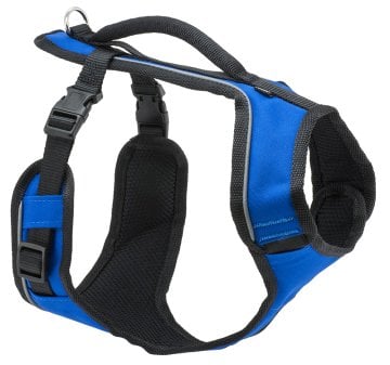 Easy Sport Harness Mavi Köpek Tasması