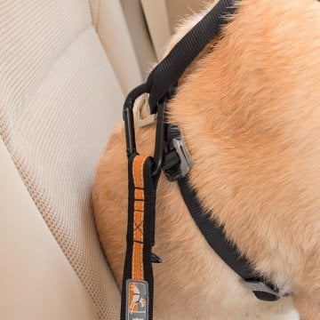 PetSafe Kurgo Direct To Seat Belt Emniyet Kemeri Siyah/Kavuniçi K01244