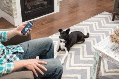 PetSafe Smart Dog Telefon Aplikasyonlu Uzaktan Kontrol Köpek Eğitim Tasması PDT19-16200