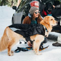 PetSafe Kurgo North Country Su Geçirmez Köpek Montu Siyah