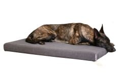 CecePet Arya Serisi Ortopedik Premium Kedi ve Köpek Yatağı