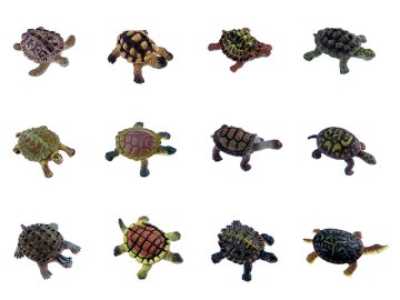 TORTOISE - KAPLUMBAĞALAR