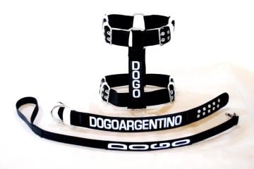 Kolon Set Dogo Argentino Beyaz