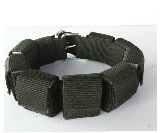 Weighted clearance collar dog