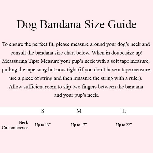 BLUE DREAM PET BOYUNLUK BANDANA