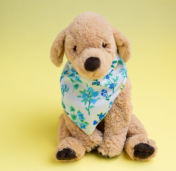 BLOOM PET BOYUNLUK BANDANA