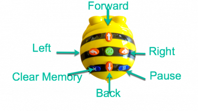 Bee-Bot Okul Öncesi Ve İlkokul Kodlama Robotu