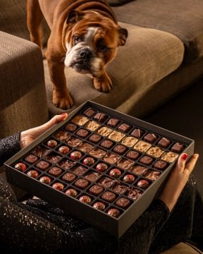 64 lü Keşif Koleksiyonu Çikolata Kutusu