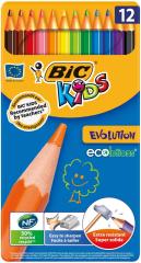 BIC KURUBOYA EVOLUTION METAL 12 Lİ 890287