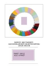 ALEX FON KARTONU 50x70 160GR LEYLAK 100 LÜ 06