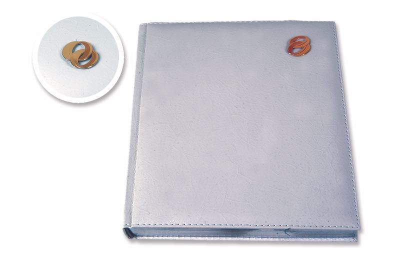 LİZ DÜĞÜN DEFTERİ 20X28 LUX 811